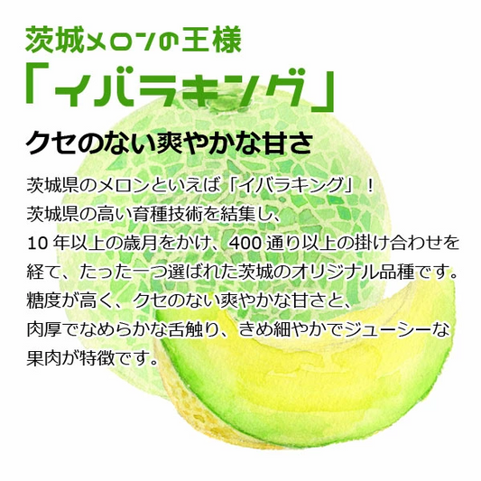 茨城 プレミアム メロン 送料無料 茨城県 鉾田 イバラキング 1玉特大 5L 厳選農家よりお届け! 青肉 5Lサイズ 1玉入り 茨城メロン 鉾田メロン (収穫次第順次出荷) (同梱不可) めろん フルーツ 果物 内祝い ギフト