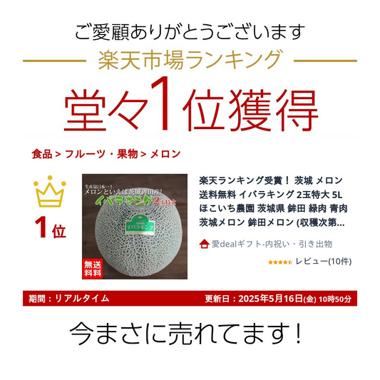 茨城 メロン 送料無料 イバラキング 2玉特大 5L ほこいち農園 茨城県 鉾田 緑肉 青肉 茨城メロン 鉾田メロン (収穫次第順次出荷) (同梱不可) めろん フルーツ 果物 内祝い ギフト プレゼント プレミアムメロン