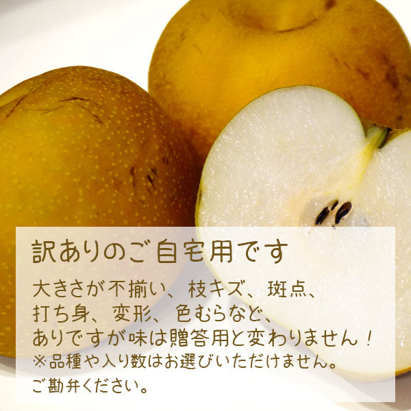予約販売 梨 訳あり 千葉県産 いちかわの梨 B級 自宅用 3kg 幸水 豊水 秋月 市川 なし 旬 果物 果実 フルーツ グルメ お盆 暑中見舞い 和梨