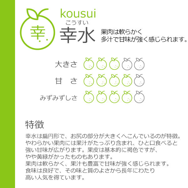予約販売 梨 訳あり 千葉県産 いちかわの梨 B級 自宅用 3kg 幸水 豊水 秋月 市川 なし 旬 果物 果実 フルーツ グルメ お盆 暑中見舞い 和梨