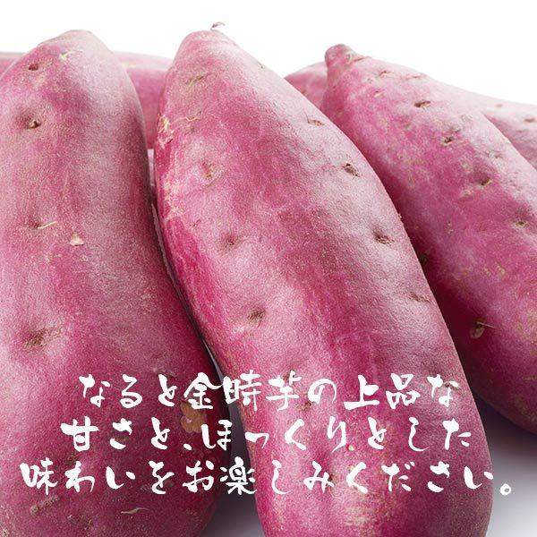 Nakajima Daishodo Hitotoe Japanese Style Sweet Potato Koganeimo No. 10 10 pieces KGB-10