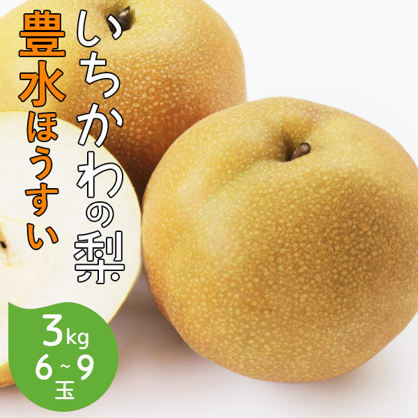 予約販売 いちかわの梨 梨 豊水 ほうすい 3kg 6~9玉 千葉県産 市川 なし 旬 果物 果実 フルーツ グルメ ギフト プレゼント 贈答品 贈答用 お盆 暑中見舞い 和梨