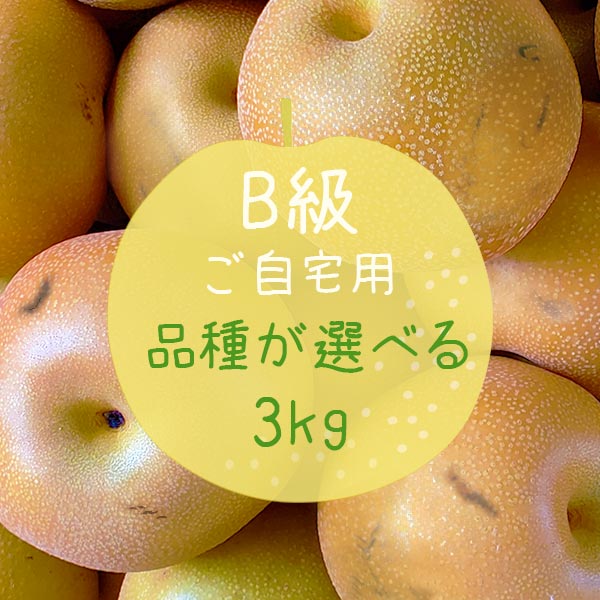 予約販売 梨 訳あり 千葉県産 いちかわの梨 B級 自宅用 3kg 幸水 豊水 秋月 市川 なし 旬 果物 果実 フルーツ グルメ お盆 暑中見舞い 和梨