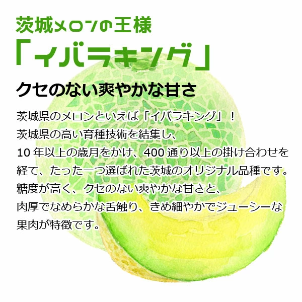 楽天ランキング受賞！ 茨城 プレミアム メロン 送料無料 茨城県 鉾田 イバラキング 1玉大 4L 厳選農家よりお届け！ 青肉 4Lサイズ 1玉入り 茨城メロン 鉾田メロン (収穫次第順次出荷) (同梱不可) めろん フルーツ 果物 内祝い プレゼント