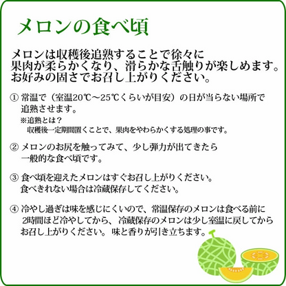 楽天ランキング受賞！ 茨城 プレミアム メロン 送料無料 茨城県 鉾田 イバラキング 1玉大 4L 厳選農家よりお届け！ 青肉 4Lサイズ 1玉入り 茨城メロン 鉾田メロン (収穫次第順次出荷) (同梱不可) めろん フルーツ 果物 内祝い プレゼント
