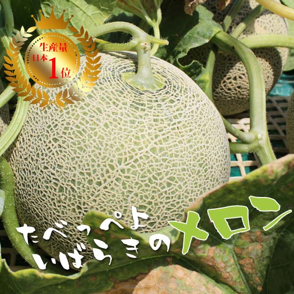 楽天ランキング受賞！ 茨城 メロン 送料無料 イバラキング 3玉 ほこいち農園 茨城県 鉾田 緑肉 青肉 茨城メロン 鉾田メロン (収穫次第順次出荷) (同梱不可) めろん フルーツ 果物 内祝い ギフト プレゼント プレミアムメロン
