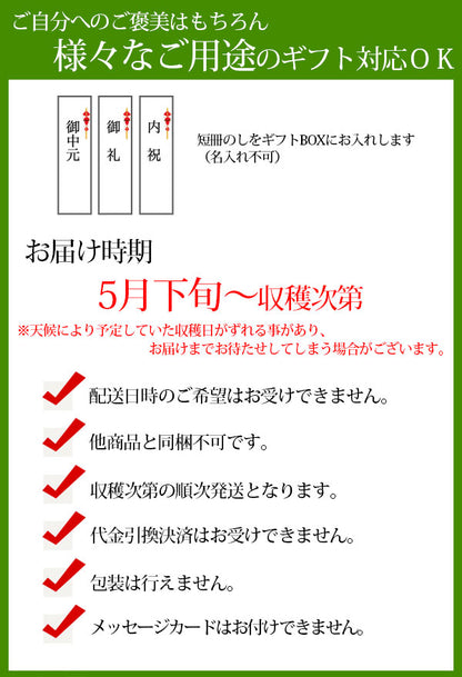 茨城 メロン イバラキング 2玉 4L ほこいち農園 茨城 茨城県 鉾田 緑肉 青肉 茨城メロン 鉾田メロン (収穫次第順次出荷) (同梱不可)