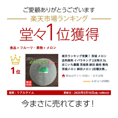 茨城 メロン 送料無料 イバラキング 2玉特大 5L ほこいち農園 茨城県 鉾田 緑肉 青肉 茨城メロン 鉾田メロン (収穫次第順次出荷) (同梱不可) めろん フルーツ 果物 内祝い ギフト プレゼント プレミアムメロン