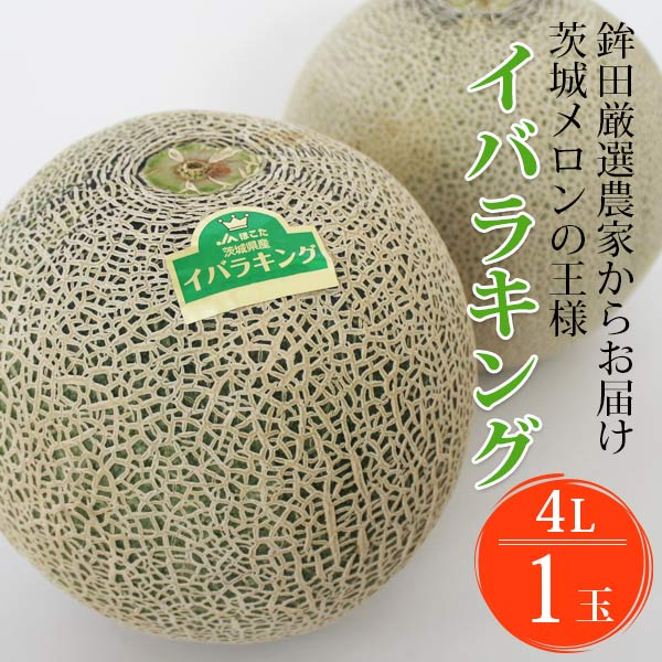 楽天ランキング受賞！ 茨城 プレミアム メロン 送料無料 茨城県 鉾田 イバラキング 1玉大 4L 厳選農家よりお届け！ 青肉 4Lサイズ 1玉入り 茨城メロン 鉾田メロン (収穫次第順次出荷) (同梱不可) めろん フルーツ 果物 内祝い プレゼント