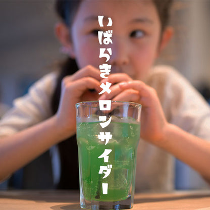 Ibaraki Melon Cider Made with melons from Hokota City Local Cider Slightly Carbonated Melon Soda Ibaraki Cider Carbonated Beverage 240ml x 20 Bottles Set