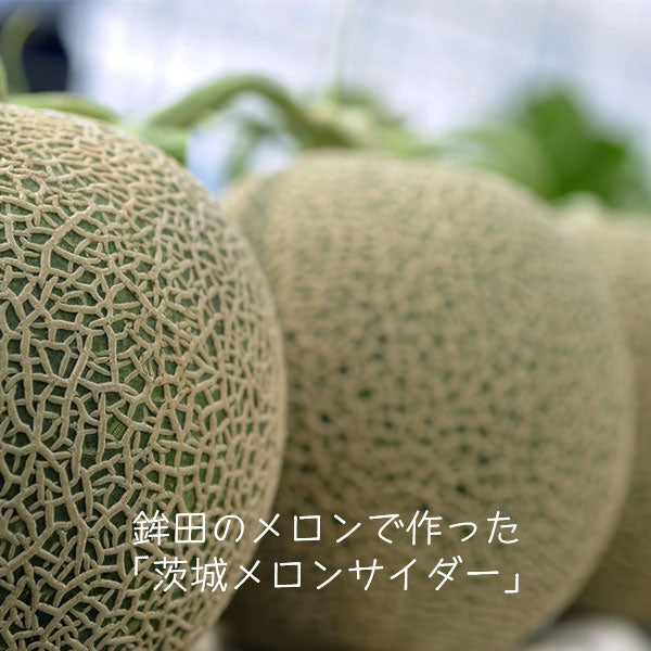 Ibaraki Melon Cider Made with melons from Hokota City Local Cider Slightly Carbonated Melon Soda Ibaraki Cider Carbonated Beverage 240ml x 20 Bottles Set