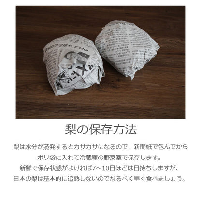 予約販売 いちかわの梨 梨 秋月 あきづき 3kg 6～9玉 千葉県産 市川 なし 旬 果物 果実 フルーツ グルメ ギフト プレゼント 贈答品 贈答用 お盆 暑中見舞い 和梨