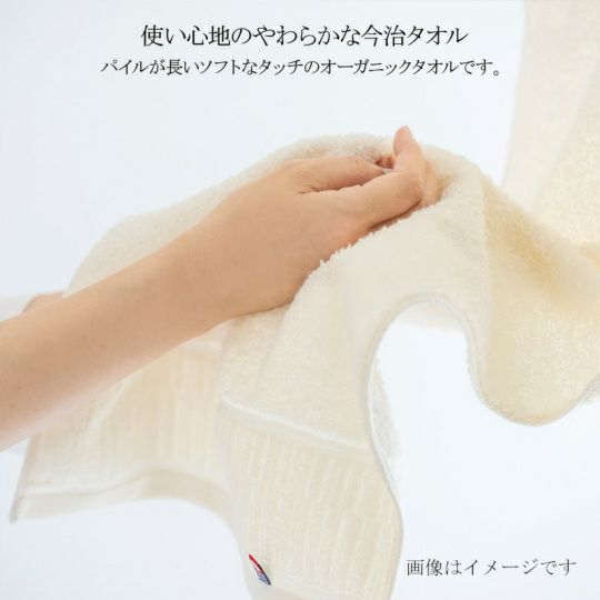 今治謹製 organic towel　オーガニックパイル フェイスタオル２枚・ウォッシュタオル１枚　IOG3940（今治製）