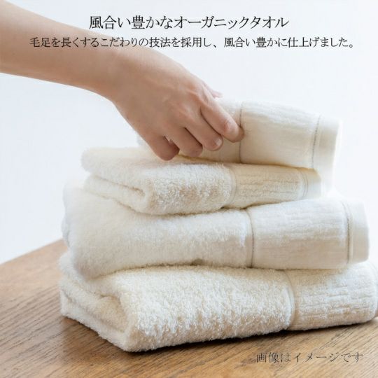 今治謹製 organic towel　オーガニックパイル バスタオル１枚・フェイスタオル１枚　IOG3950（今治製）