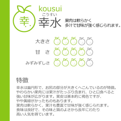 予約販売 梨 訳あり 千葉県産 いちかわの梨 B級 自宅用 3kg 幸水 豊水 秋月 市川 なし 旬 果物 果実 フルーツ グルメ お盆 暑中見舞い 和梨