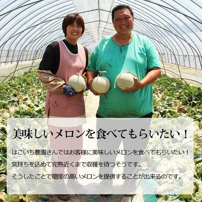 茨城 メロン イバラキング 2玉 4L ほこいち農園 茨城 茨城県 鉾田 緑肉 青肉 茨城メロン 鉾田メロン (収穫次第順次出荷) (同梱不可)