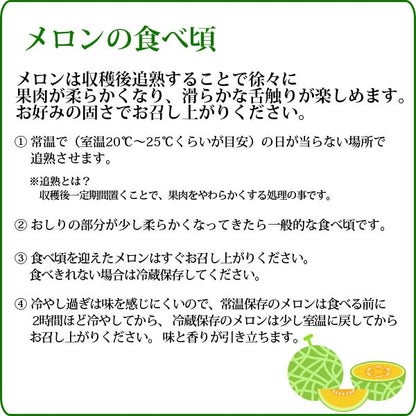 茨城 メロン イバラキング 2玉 4L ほこいち農園 茨城 茨城県 鉾田 緑肉 青肉 茨城メロン 鉾田メロン (収穫次第順次出荷) (同梱不可)