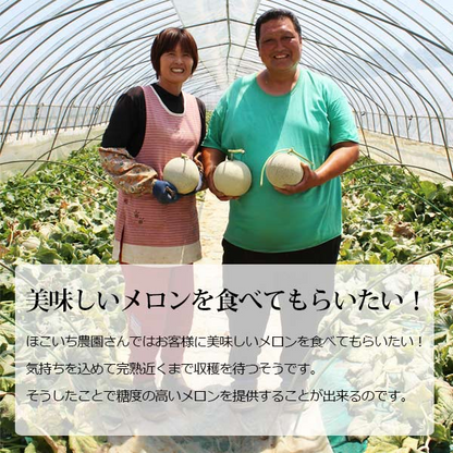楽天ランキング受賞！ 茨城 メロン 送料無料 イバラキング 3玉 ほこいち農園 茨城県 鉾田 緑肉 青肉 茨城メロン 鉾田メロン (収穫次第順次出荷) (同梱不可) めろん フルーツ 果物 内祝い ギフト プレゼント プレミアムメロン
