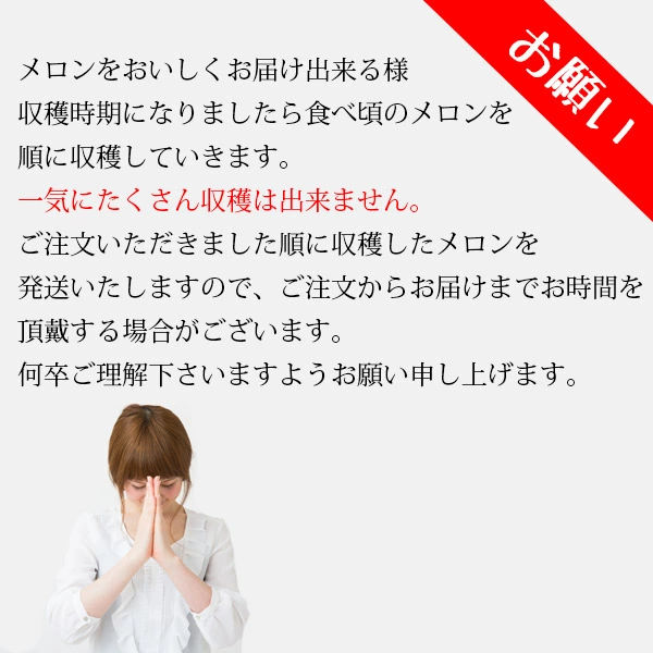 楽天ランキング受賞！ 茨城 メロン 送料無料 イバラキング 4〜5玉 ほこいち農園 茨城県 鉾田 緑肉 青肉 茨城メロン 鉾田メロン (収穫次第順次出荷) (同梱不可) めろん フルーツ 果物 内祝い ギフト プレゼント プレミアムメロン