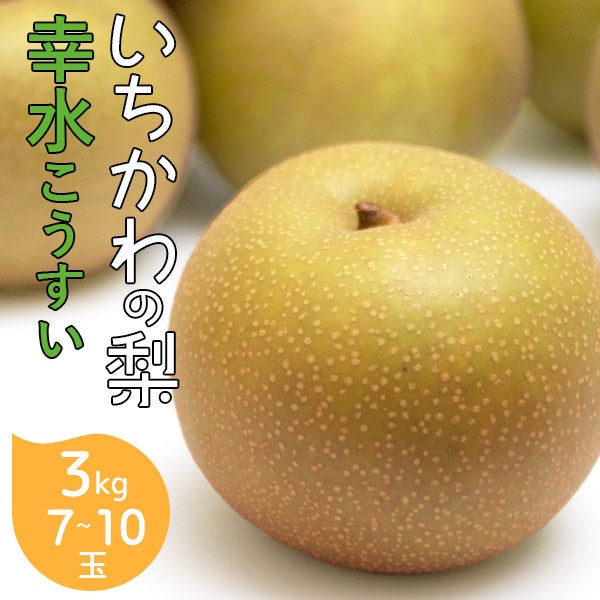 いちかわの梨 梨 幸水 こうすい 3kg 7～10玉 千葉県産 市川 なし 旬 果物 果実 フルーツ グルメ ギフト プレゼント 贈答品 贈答用 お盆 暑中見舞い 和梨