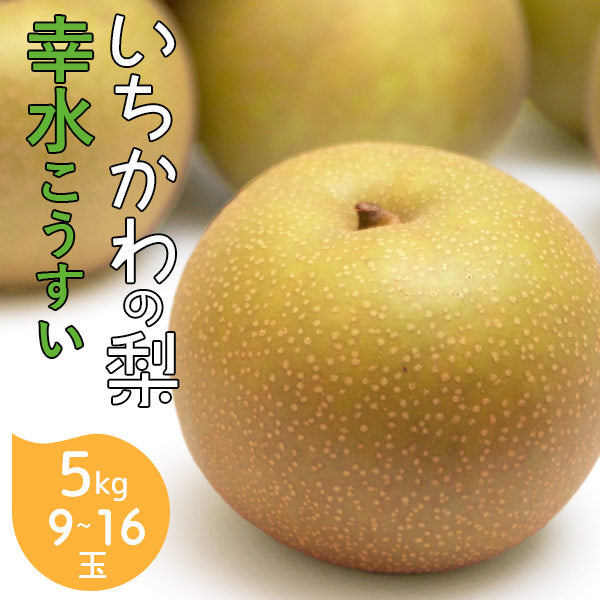 いちかわの梨 梨 幸水 こうすい 5kg 9～16玉 千葉県産 市川 なし 旬 果物 果実 フルーツ グルメ ギフト プレゼント 贈答品 贈答用 お盆 暑中見舞い 和梨