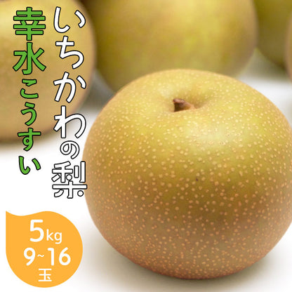 いちかわの梨 梨 幸水 こうすい 5kg 9～16玉 千葉県産 市川 なし 旬 果物 果実 フルーツ グルメ ギフト プレゼント 贈答品 贈答用 お盆 暑中見舞い 和梨