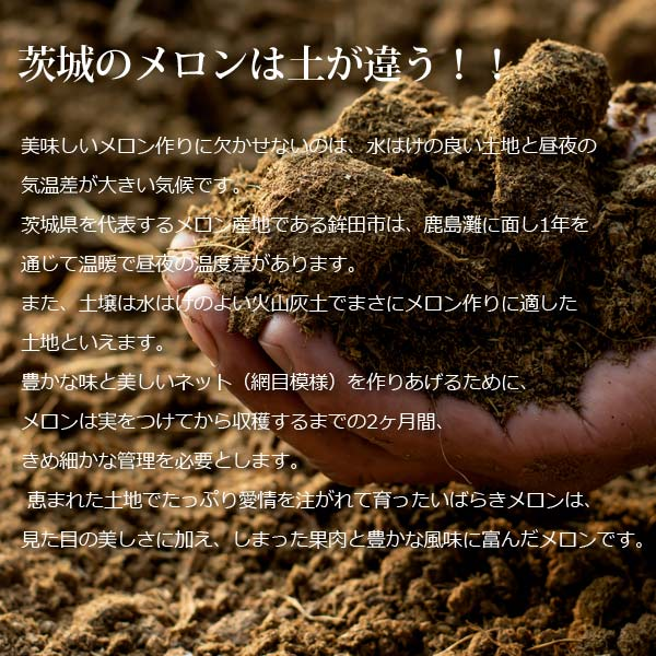 楽天ランキング受賞！ 茨城 メロン 送料無料 イバラキング 4〜5玉 ほこいち農園 茨城県 鉾田 緑肉 青肉 茨城メロン 鉾田メロン (収穫次第順次出荷) (同梱不可) めろん フルーツ 果物 内祝い ギフト プレゼント プレミアムメロン