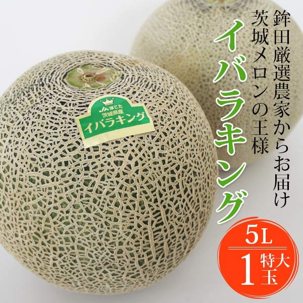 茨城 プレミアム メロン 送料無料 茨城県 鉾田 イバラキング 1玉特大 5L 厳選農家よりお届け！ 青肉 5Lサイズ 1玉入り 茨城メロン 鉾田メロン (収穫次第順次出荷) (同梱不可) めろん フルーツ 果物 内祝い ギフト