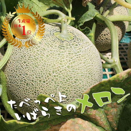 茨城 メロン 送料無料 イバラキング 2玉特大 5L ほこいち農園 茨城県 鉾田 緑肉 青肉 茨城メロン 鉾田メロン (収穫次第順次出荷) (同梱不可) めろん フルーツ 果物 内祝い ギフト プレゼント プレミアムメロン
