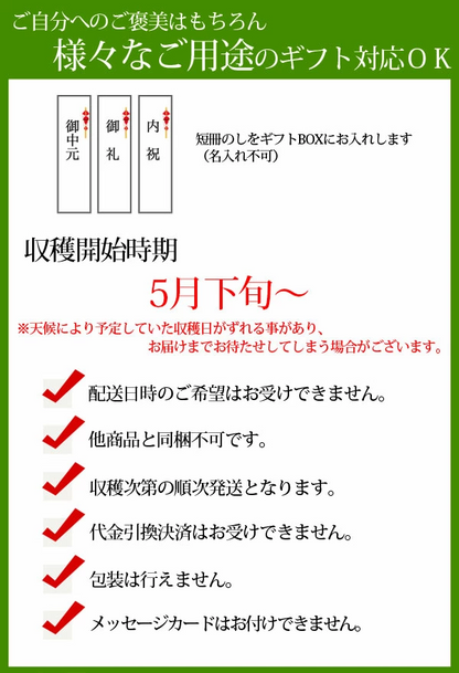 楽天ランキング受賞！ 茨城 メロン 送料無料 イバラキング 3玉 ほこいち農園 茨城県 鉾田 緑肉 青肉 茨城メロン 鉾田メロン (収穫次第順次出荷) (同梱不可) めろん フルーツ 果物 内祝い ギフト プレゼント プレミアムメロン
