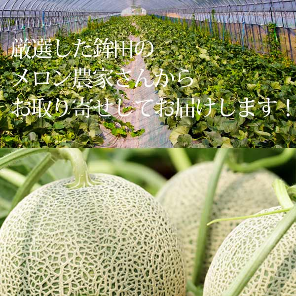 楽天ランキング受賞！ 茨城 プレミアム メロン 送料無料 茨城県 鉾田 イバラキング 1玉大 4L 厳選農家よりお届け！ 青肉 4Lサイズ 1玉入り 茨城メロン 鉾田メロン (収穫次第順次出荷) (同梱不可) めろん フルーツ 果物 内祝い プレゼント
