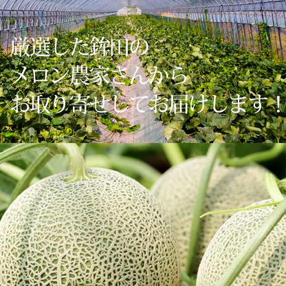 楽天ランキング受賞！ 茨城 プレミアム メロン 送料無料 茨城県 鉾田 イバラキング 1玉大 4L 厳選農家よりお届け！ 青肉 4Lサイズ 1玉入り 茨城メロン 鉾田メロン (収穫次第順次出荷) (同梱不可) めろん フルーツ 果物 内祝い プレゼント