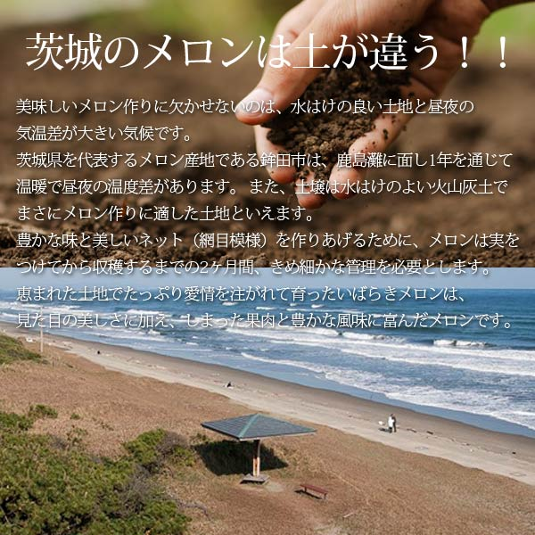 楽天ランキング受賞！ 茨城 プレミアム メロン 送料無料 茨城県 鉾田 イバラキング 1玉大 4L 厳選農家よりお届け！ 青肉 4Lサイズ 1玉入り 茨城メロン 鉾田メロン (収穫次第順次出荷) (同梱不可) めろん フルーツ 果物 内祝い プレゼント